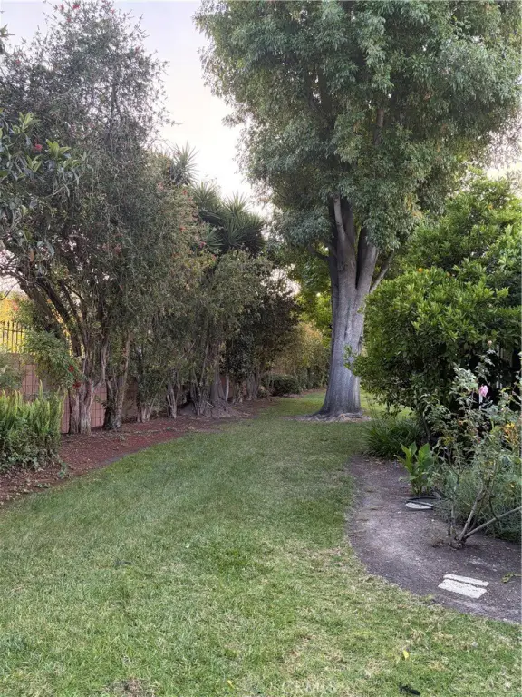 Picture 28