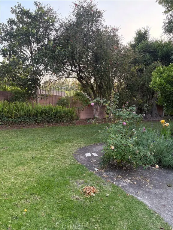 Picture 32