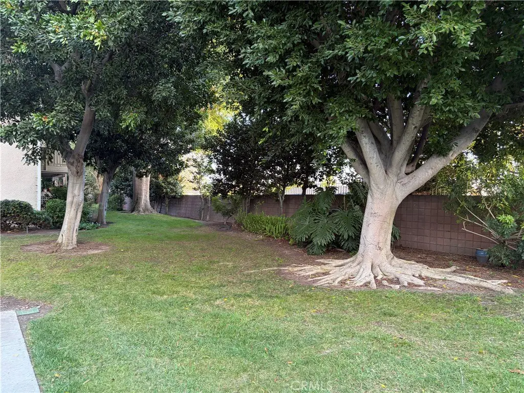 Picture 31