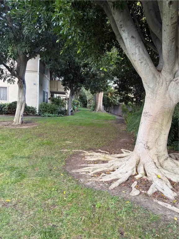 Picture 29