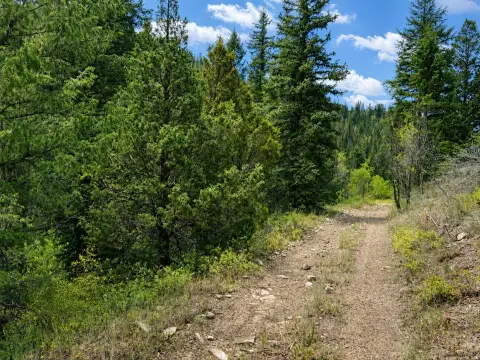 Mountain Land with ATV Access