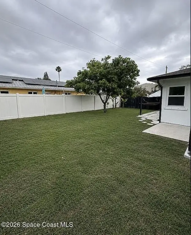 Picture 14
