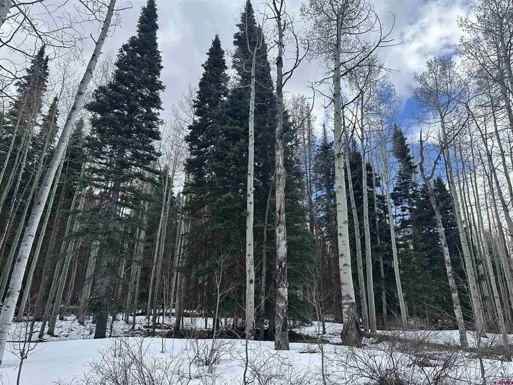 Picture 29