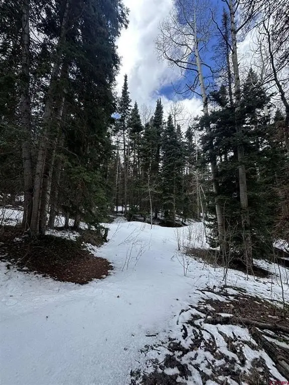 Picture 26