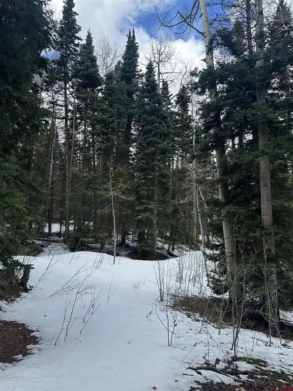 Picture 27