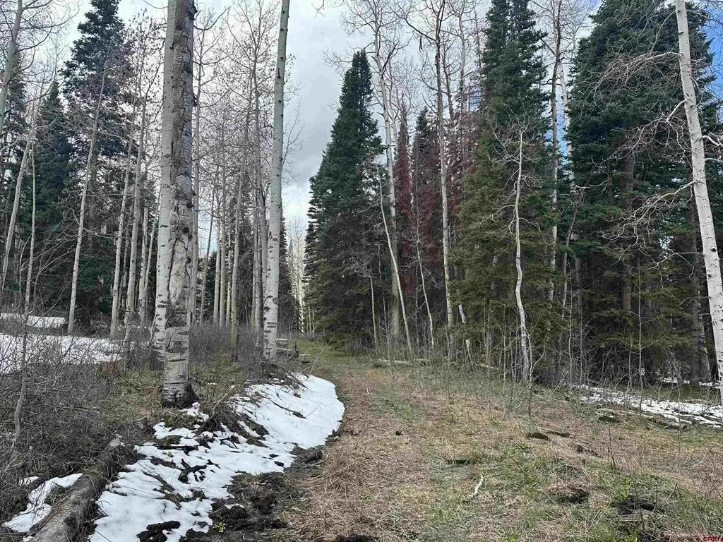 Picture 28