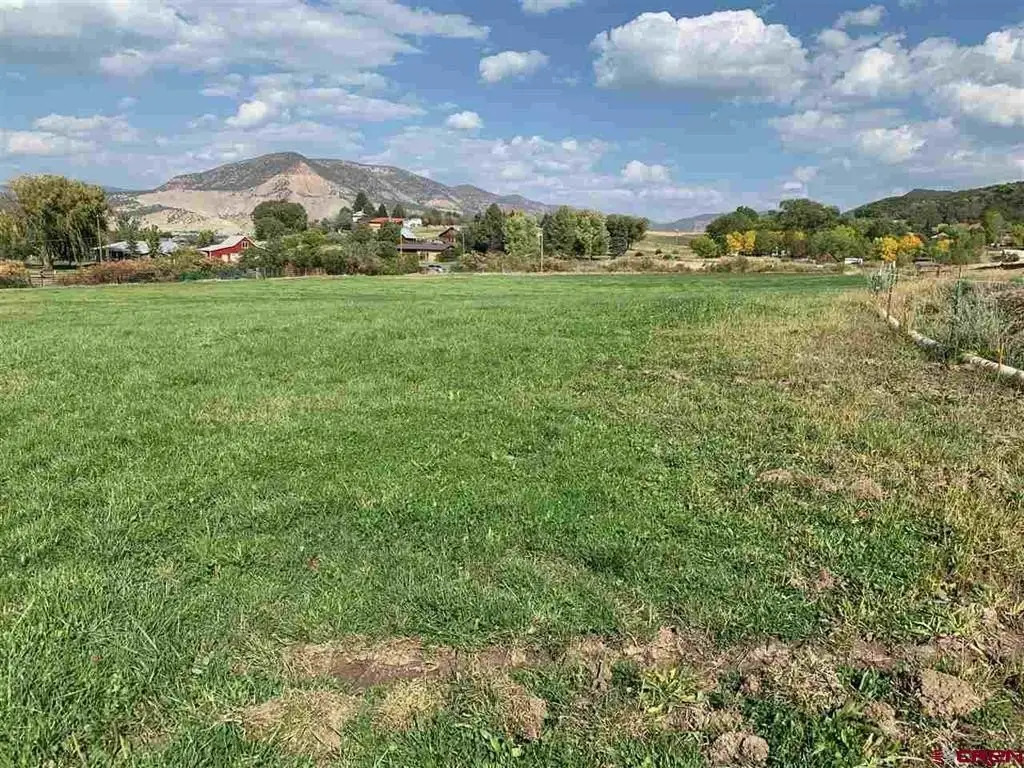 Picture 14