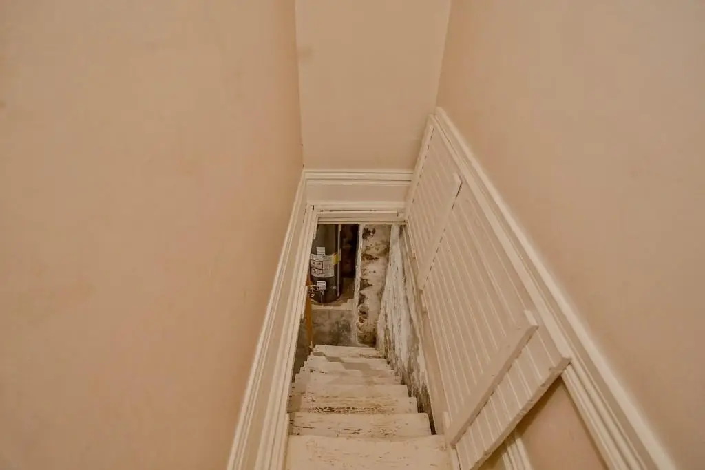 Picture 25