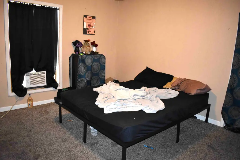 Picture 8