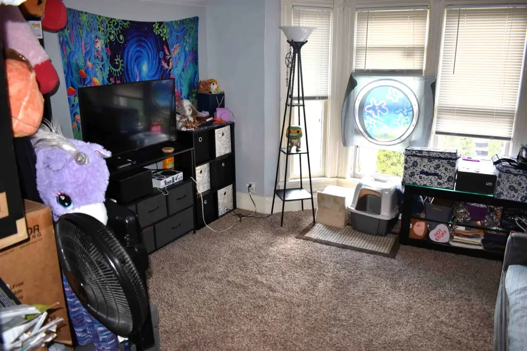 Picture 11