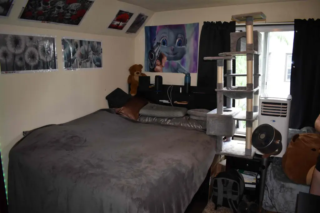 Picture 15