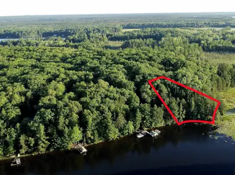 Wooded Waterfront Land