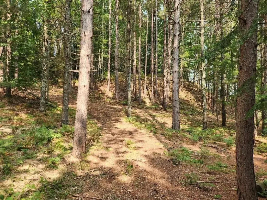 Picture 16
