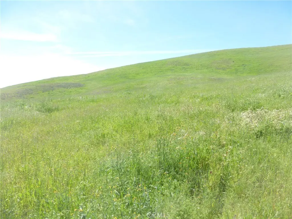 Picture 42