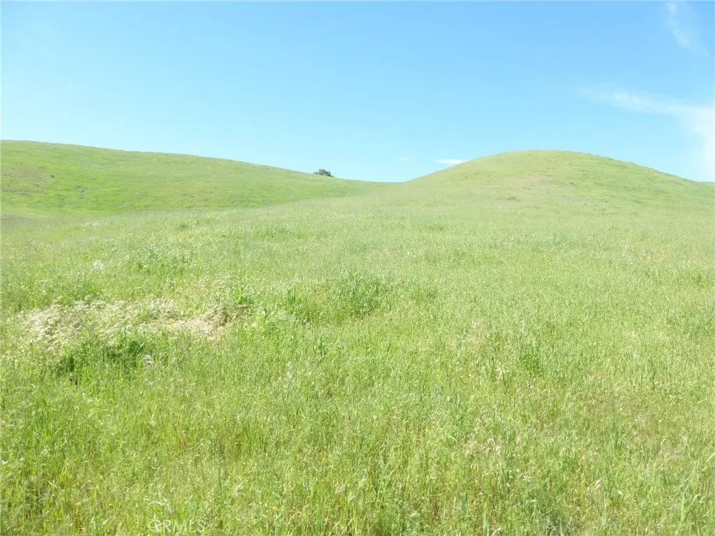 Picture 41