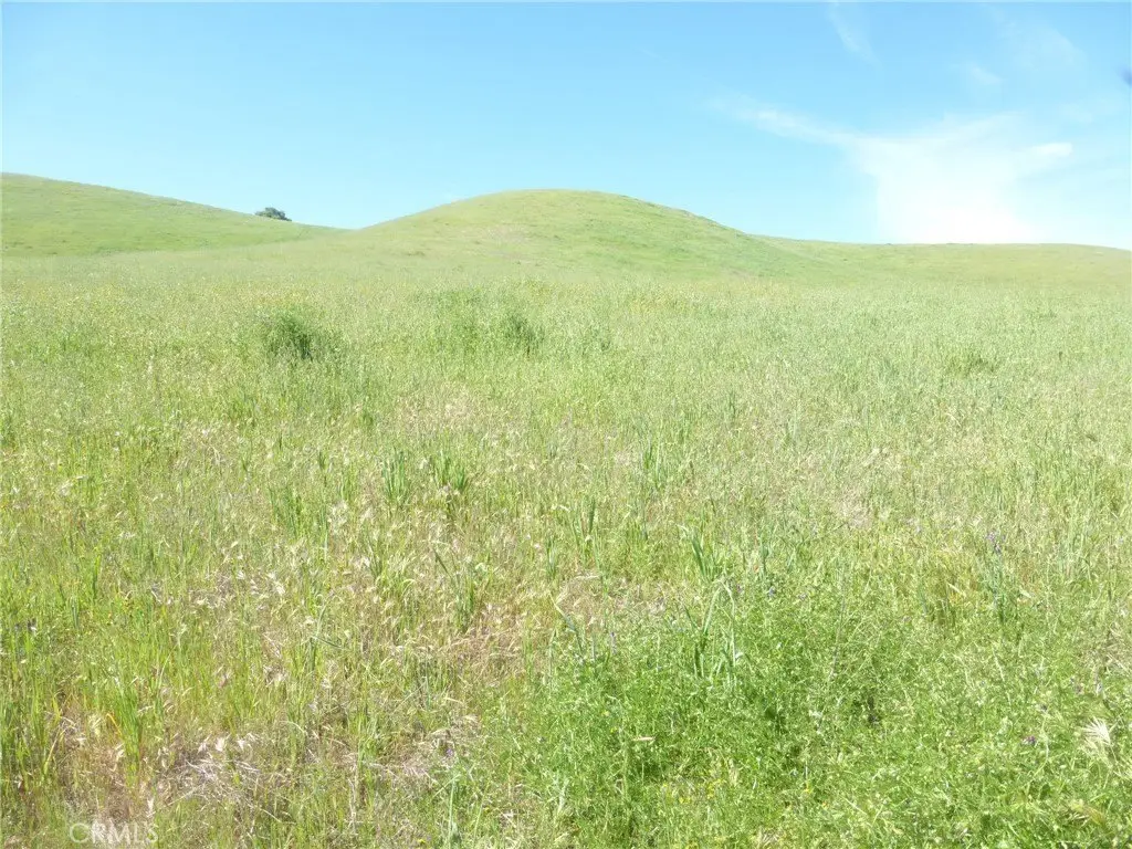 Picture 38
