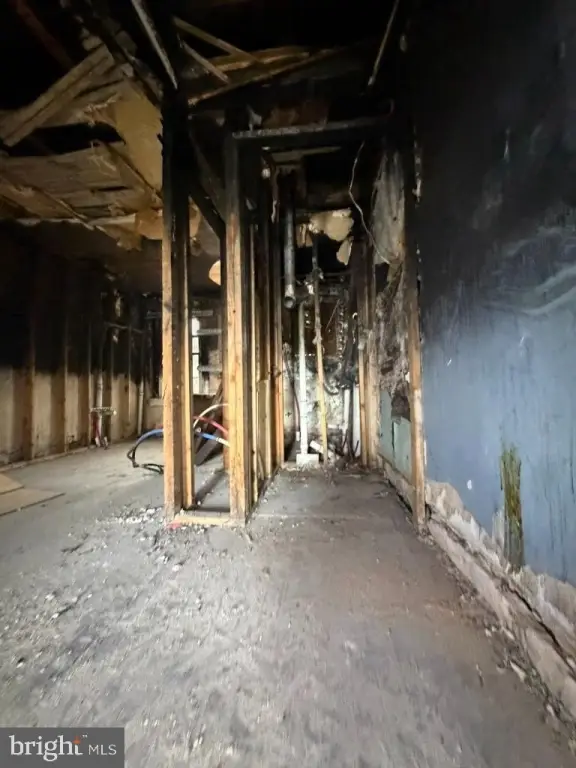 Picture 29