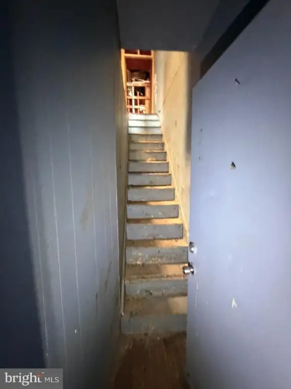 Picture 36