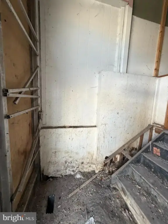 Picture 5