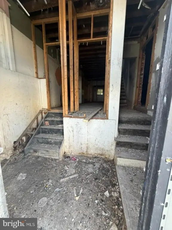 Picture 4