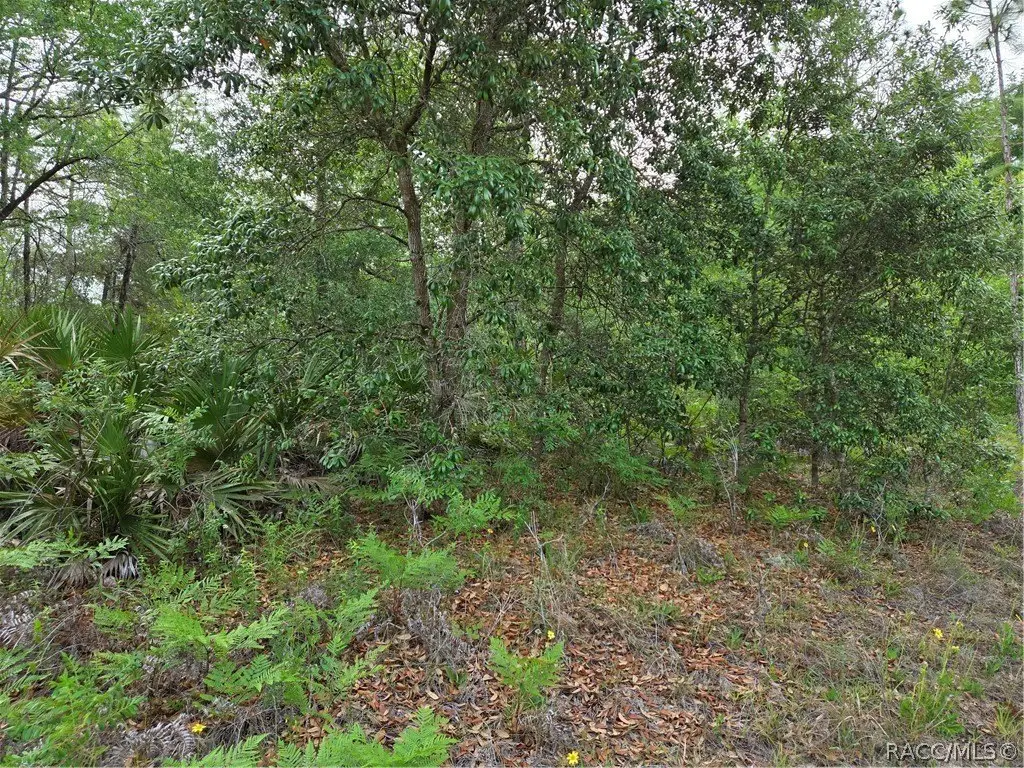 Picture 14