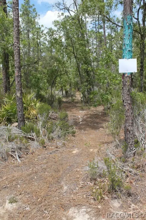 Picture 16