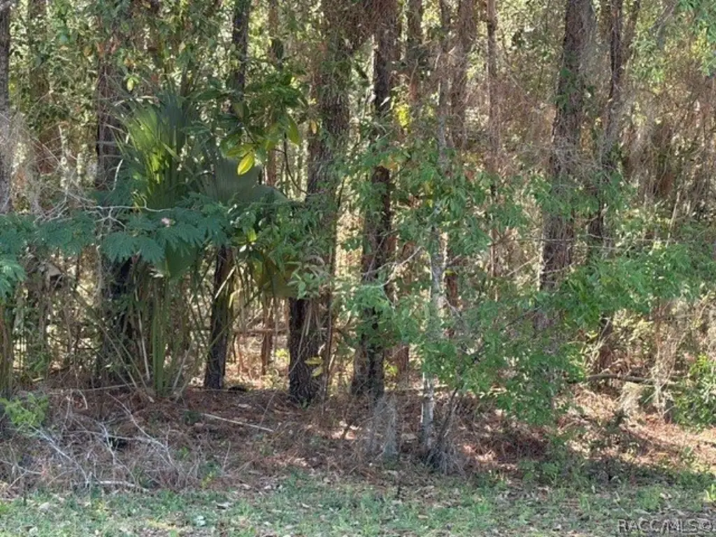 Picture 6