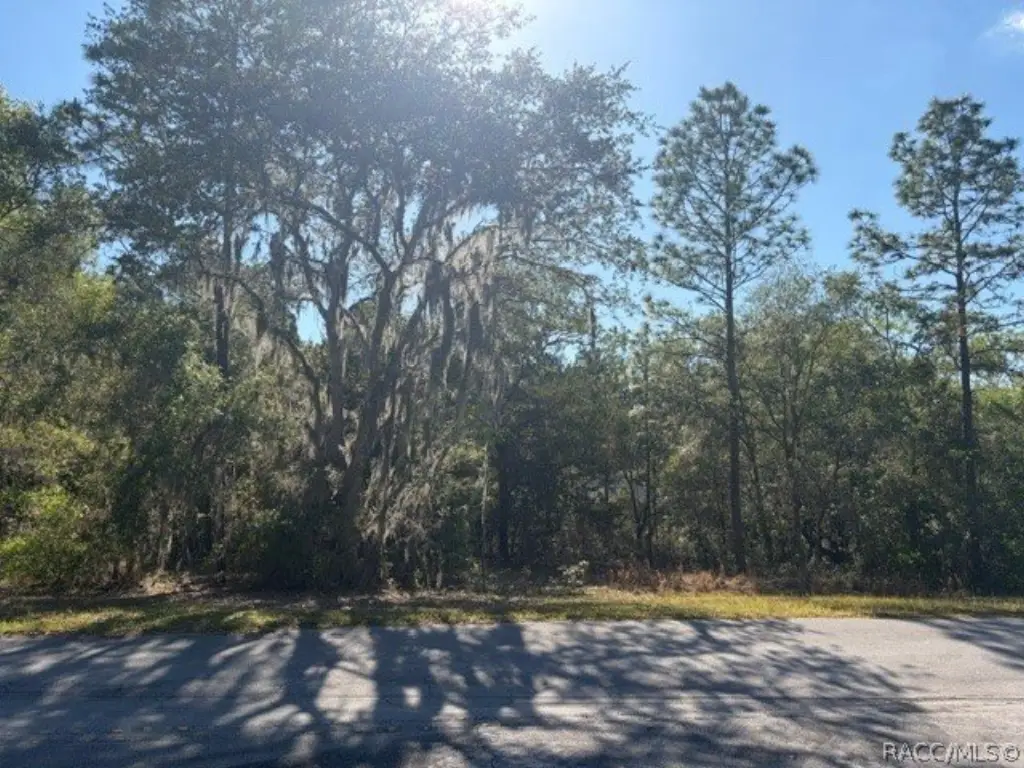 Picture 2
