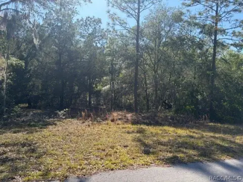 Corner Lot in Dunnellon, FL