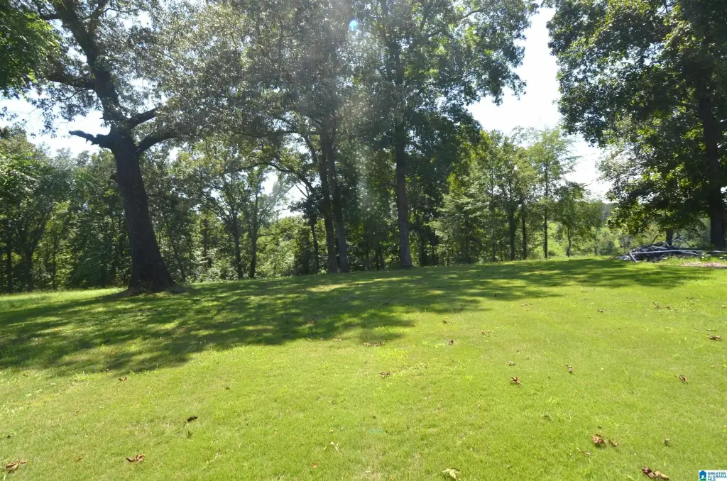 Picture 48