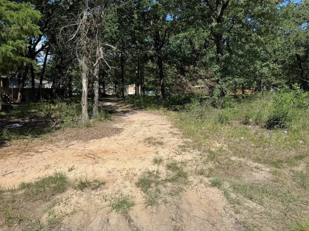 Picture 4