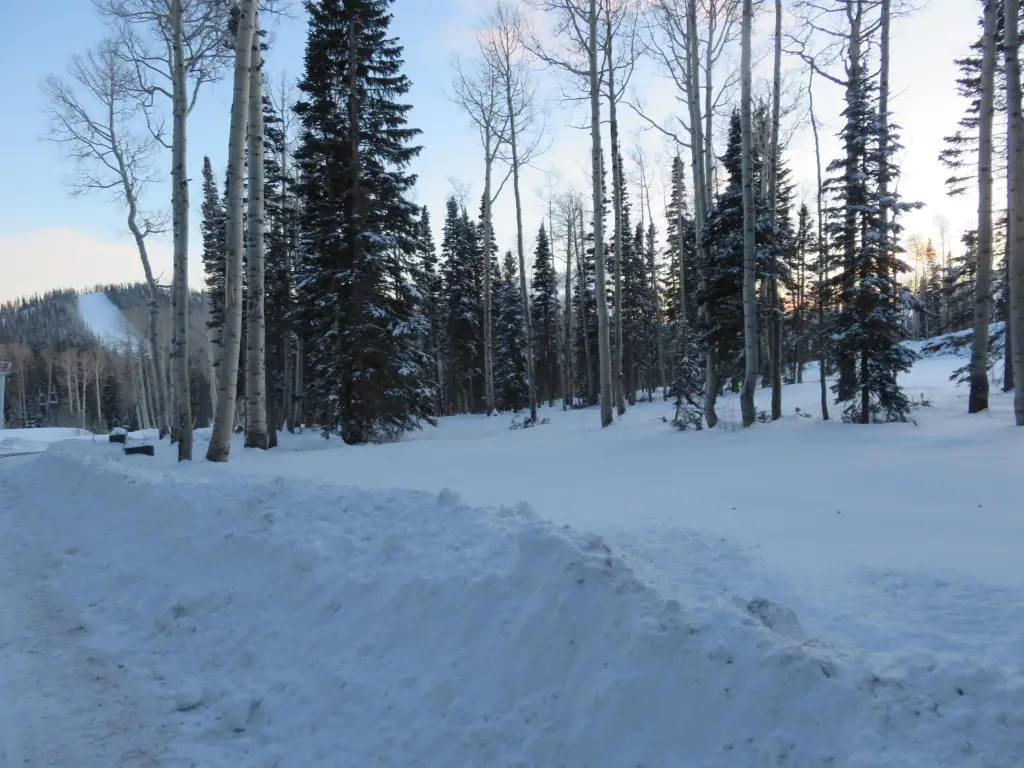 Picture 11