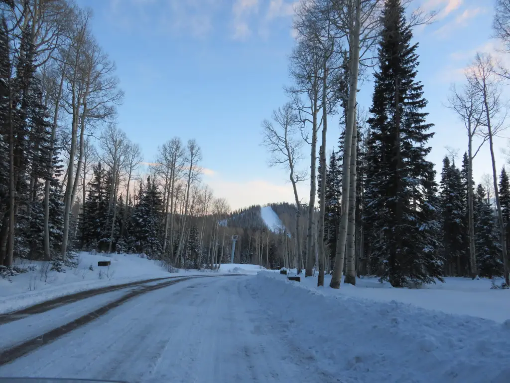 Picture 8