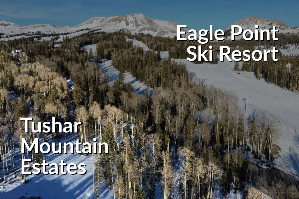 Picture 3