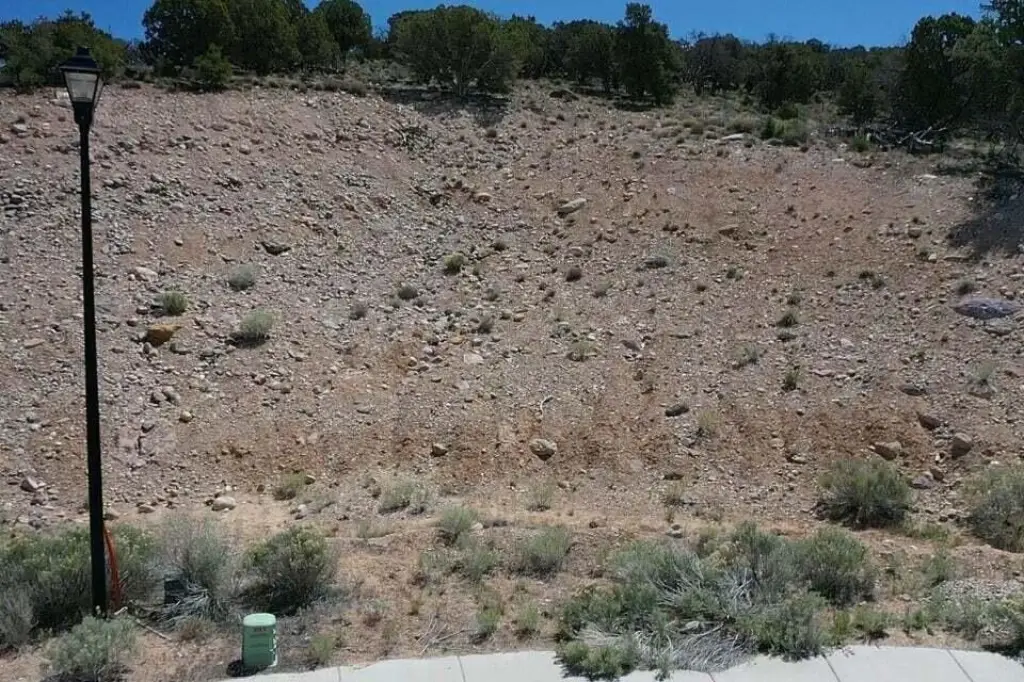 Picture 7