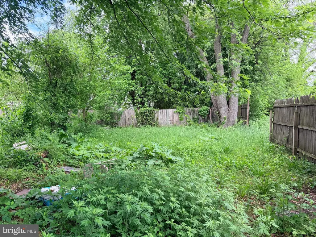Picture 19