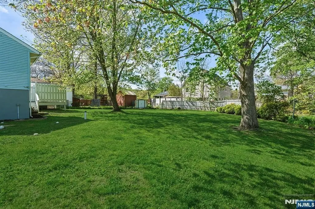 Picture 20