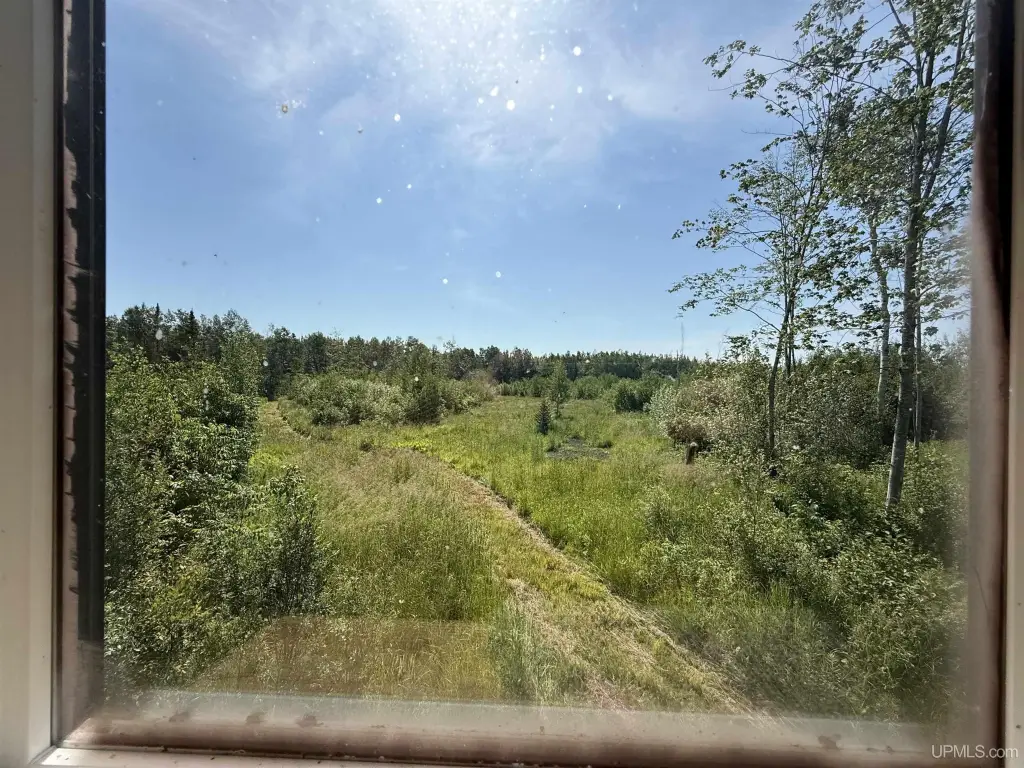 Picture 25