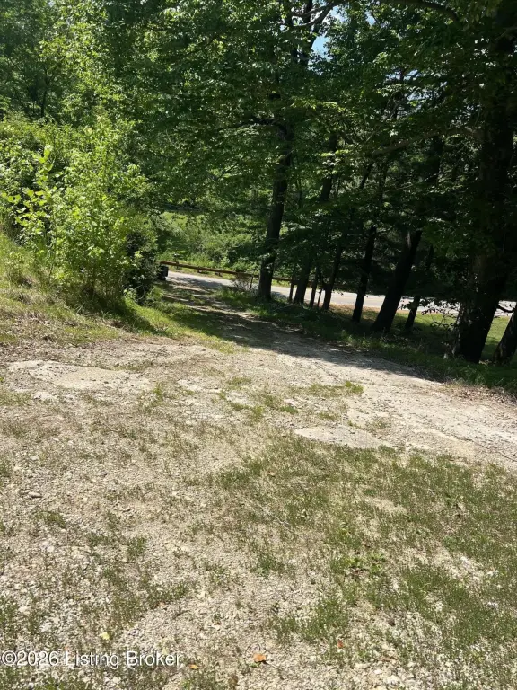 Picture 3
