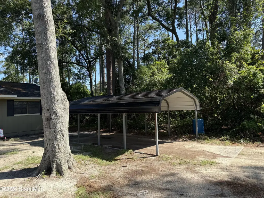Picture 19