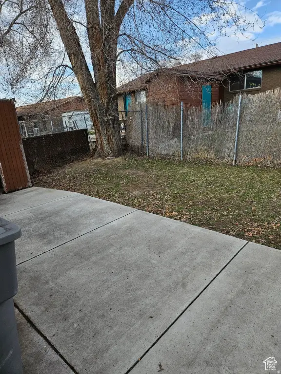 Picture 14