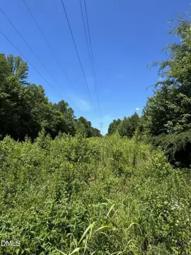32.47 Acres in Efland, NC