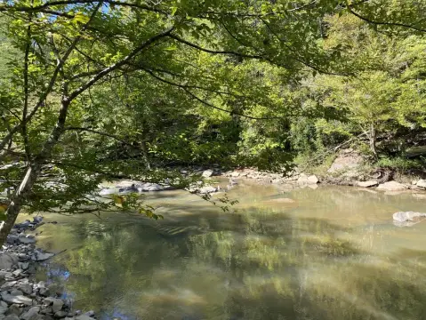 Bessemer Land with Creek Frontage