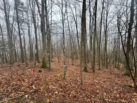 Vacant Land in Carolida Acres