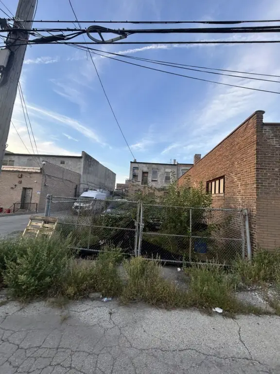 Picture 6