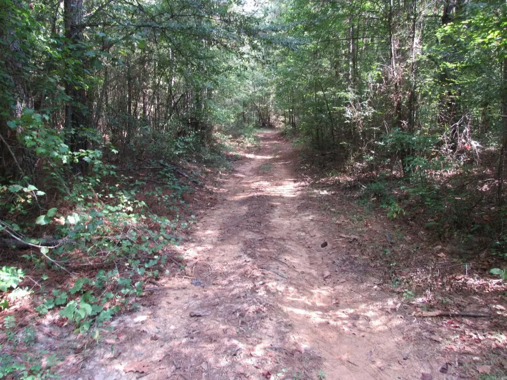 Picture 33