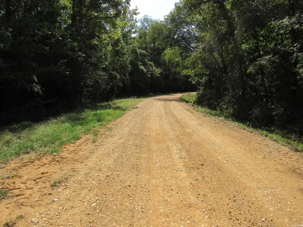Picture 27