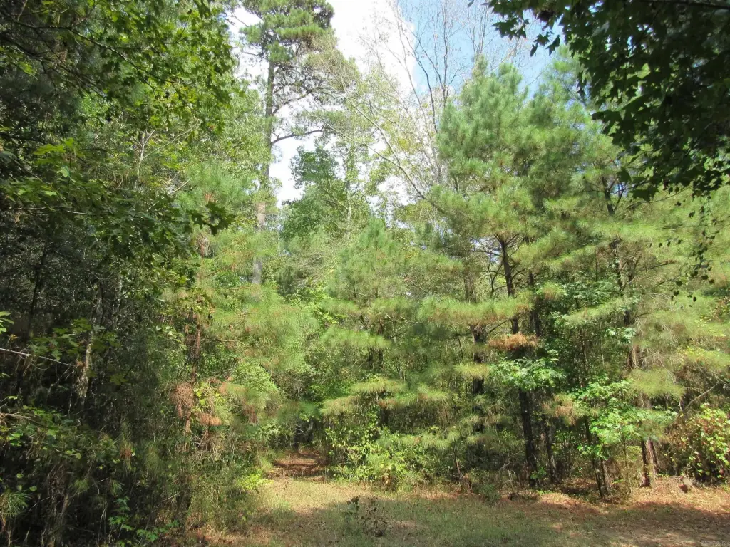 Picture 41