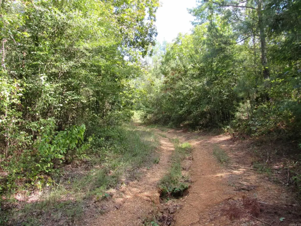Picture 37