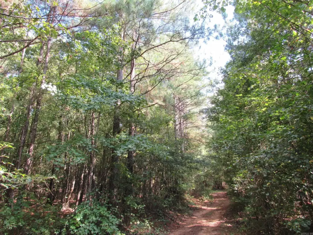 Picture 32